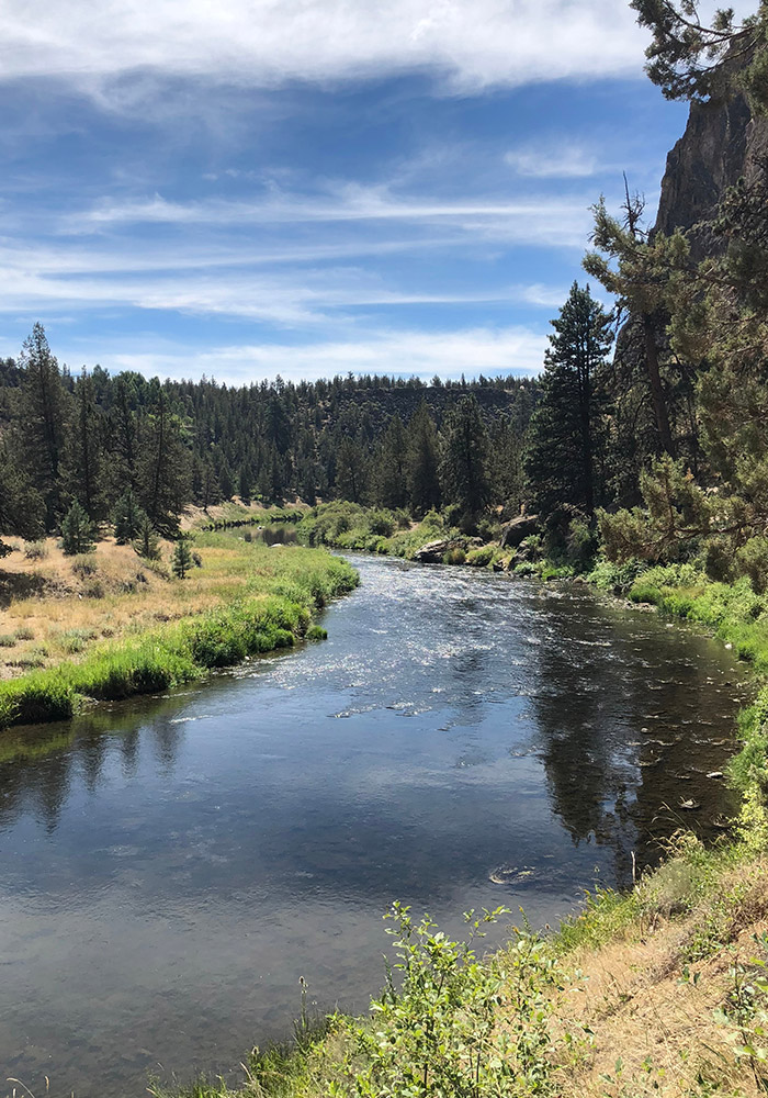 Powell Butte Nature Park